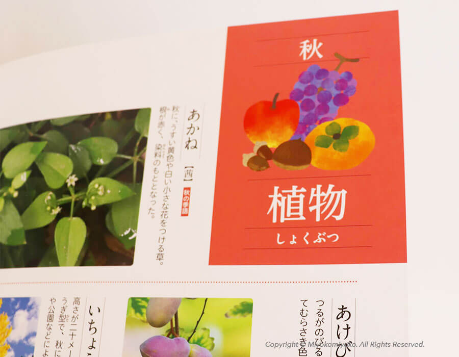 季節の言葉　秋の言葉