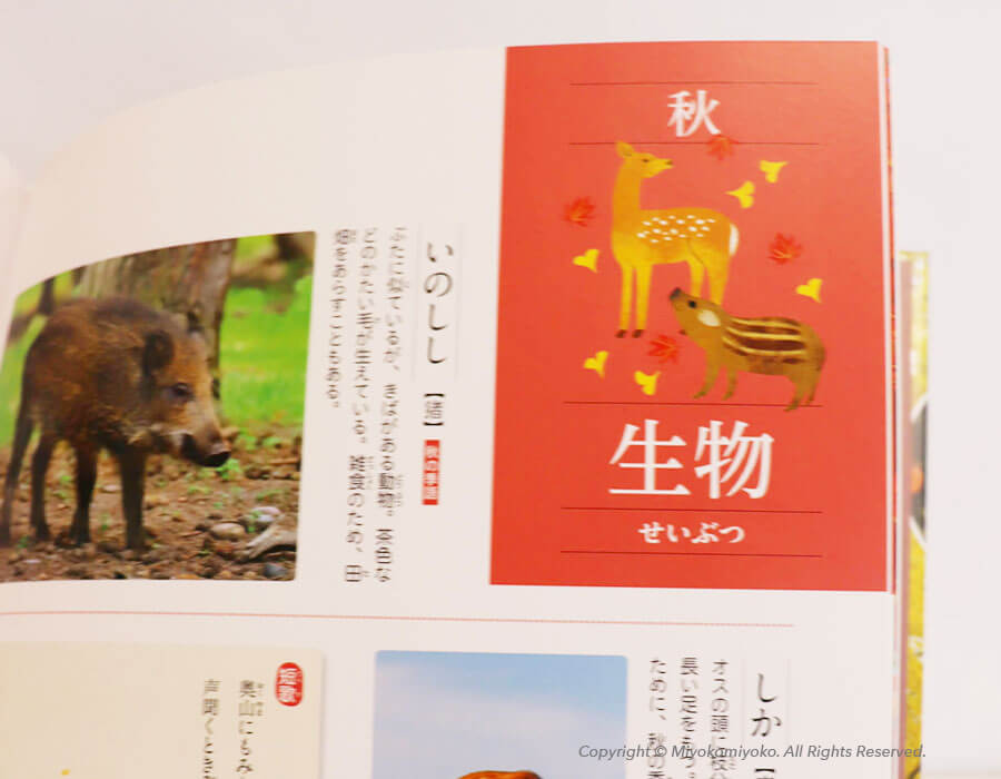 季節の言葉　秋の言葉